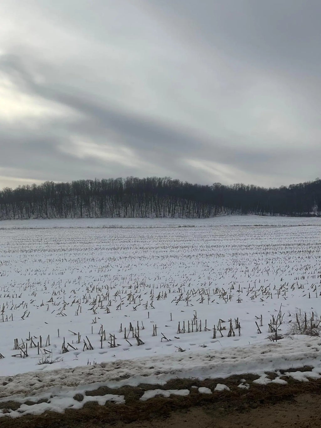 Tbd Back Valley Road, Pepin