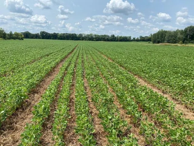 Tbd 160th St., Foreston