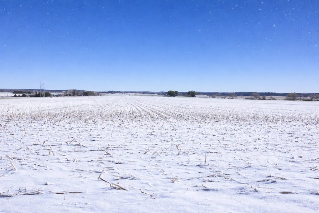 Lot 1 County Road T, Hammond