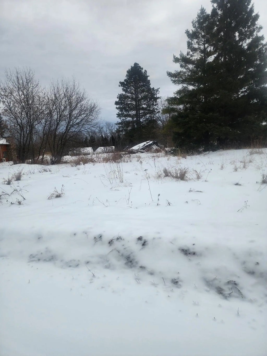 12096 Ramsey Street, Northome