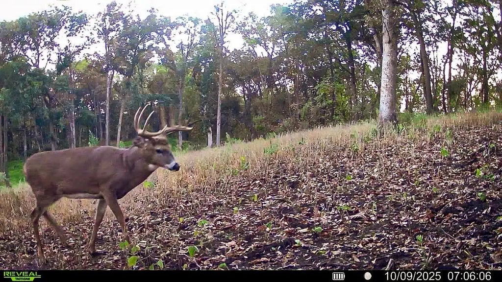 W27022 Whistle Pass Road, Dodge