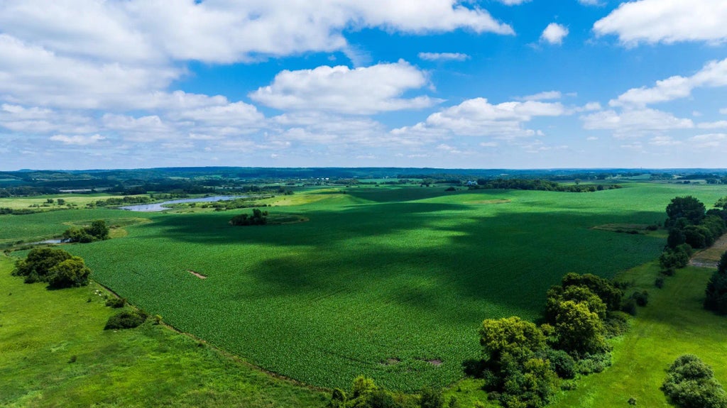 Tbd 370 St Lot 190.52, Erhard