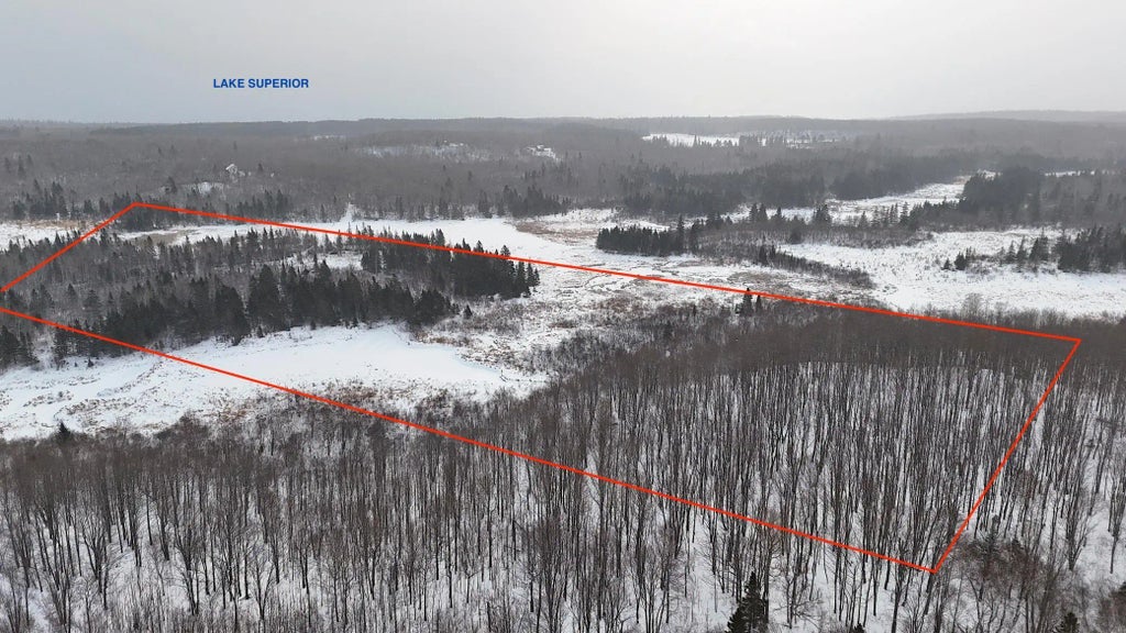 Xxx Zekes Road, Schroeder