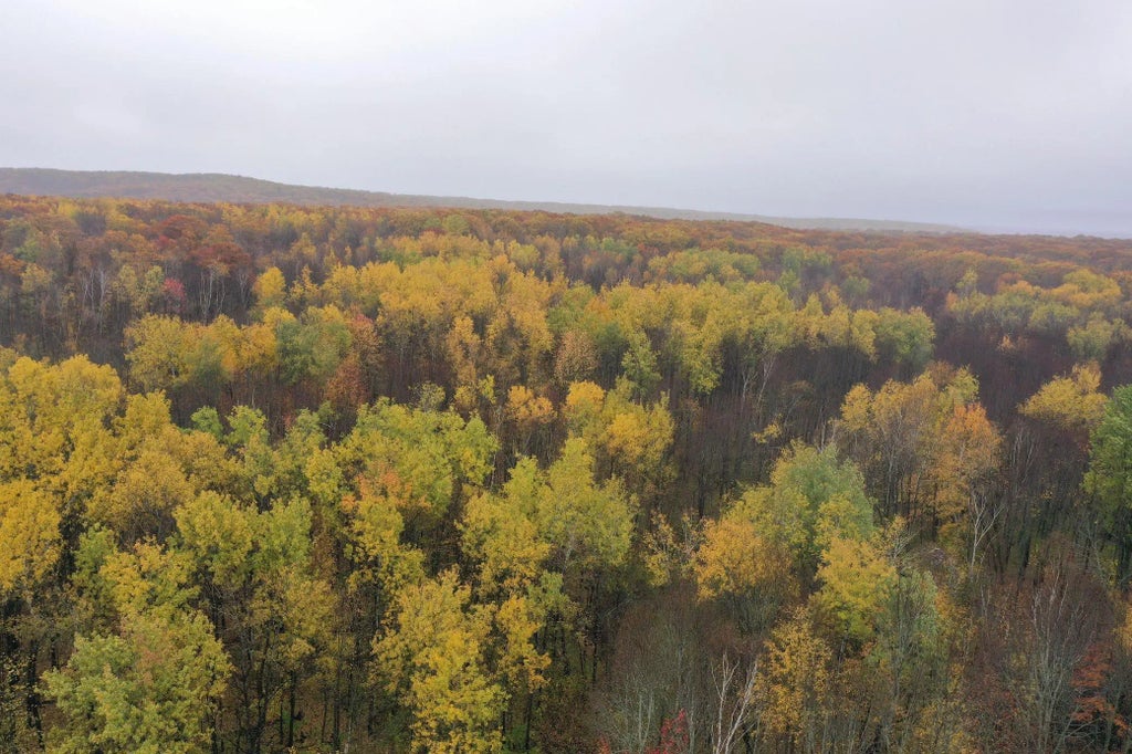 16xxx W County Road O, Weyerhaeuser