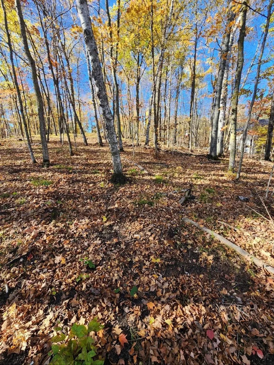 Lot 7 Sw Pickerel Lake Road, Detroit Lakes