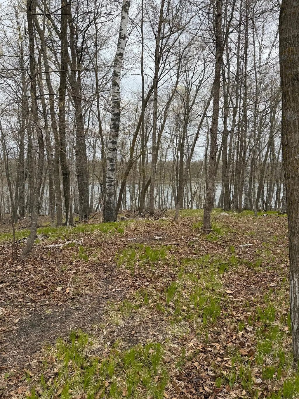 Lot 7 Sw Pickerel Lake Road, Detroit Lakes, MN - MLS# 7011385 - LandBin.com