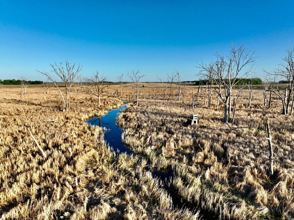 Tbd County Highway 14, Madison