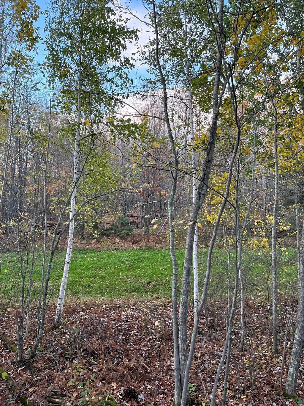 Tbd Timberline Dr, Grand Rapids