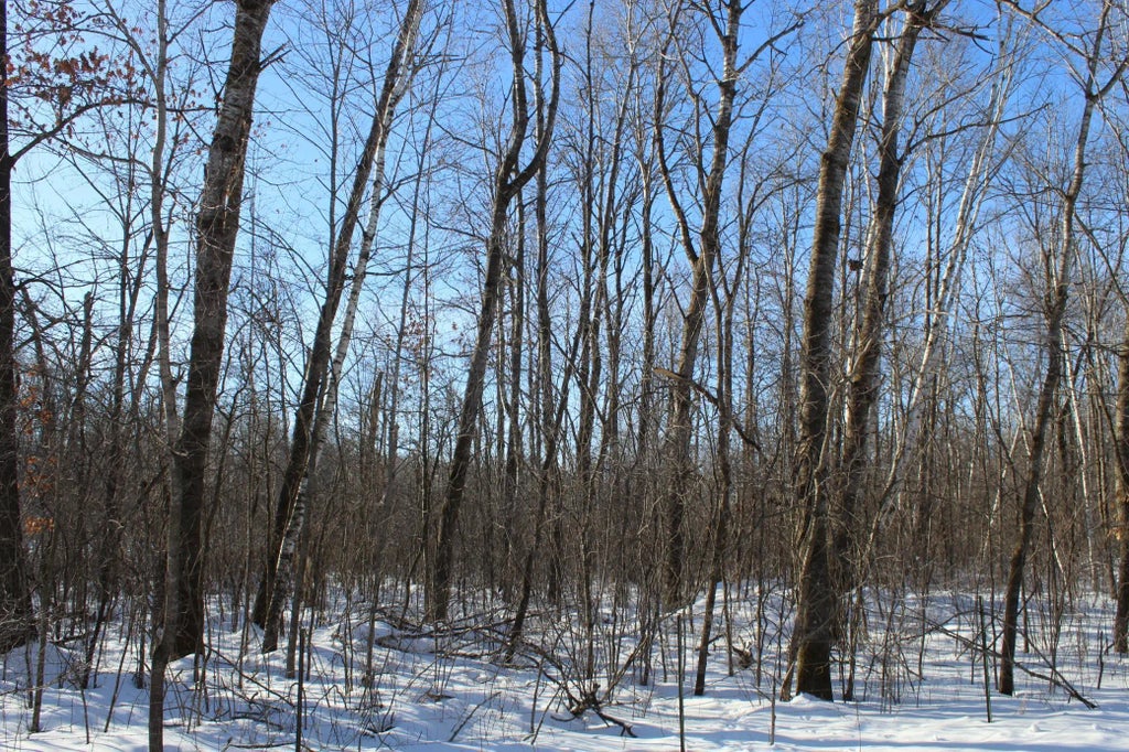 91xx 200th Street, Milaca