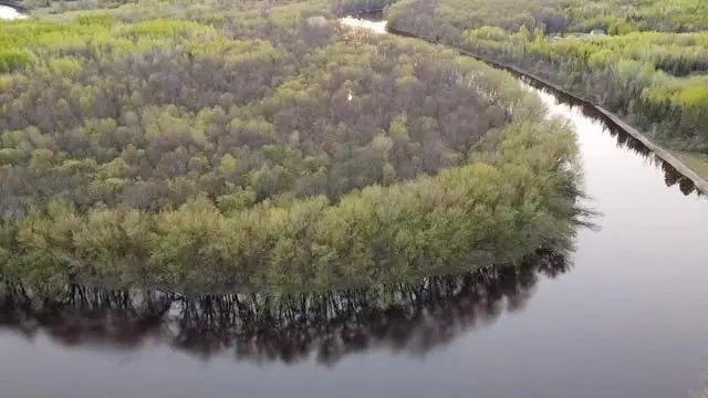 Tbd County Road 79, Littlefork