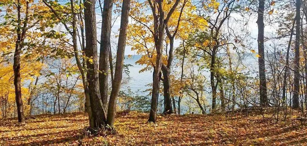 Tbd Lot 19 Ni Gig Trail, Cass Lake