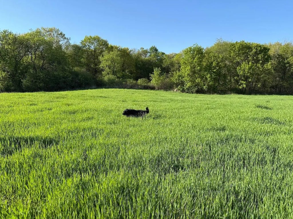 Xxxxx Oxboro Ave N, Scandia