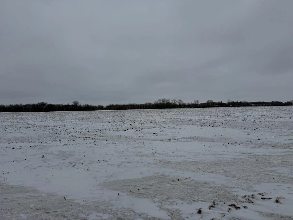 Section 31 Lake George Township, Belgrade