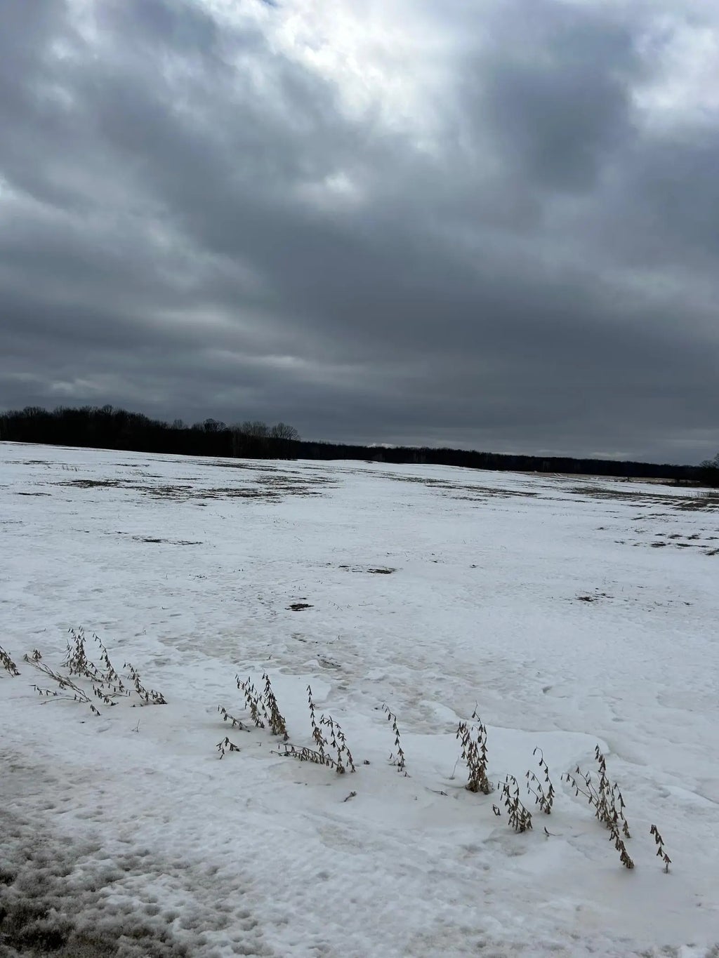 Lots 2 & 3 Cty Rd B, Woodville