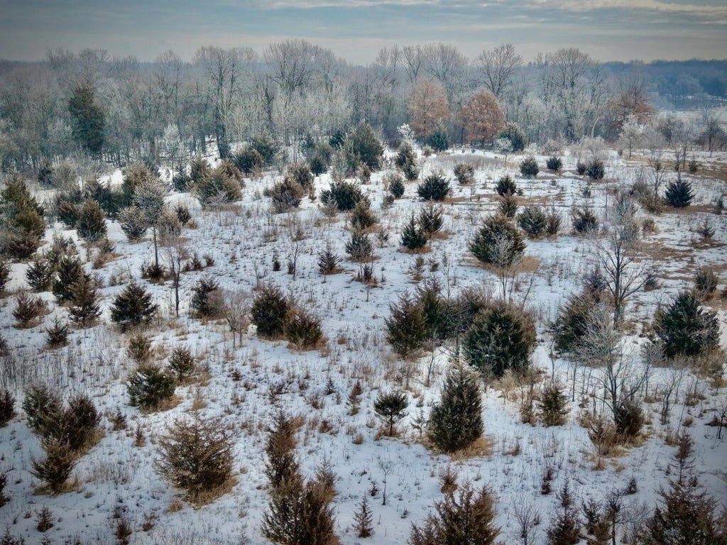 21423 Vergus Avenue, Prior Lake