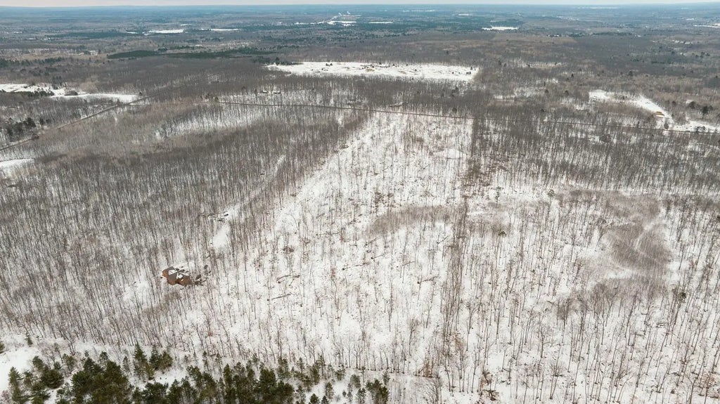 Fire Lane Road, Springbrook
