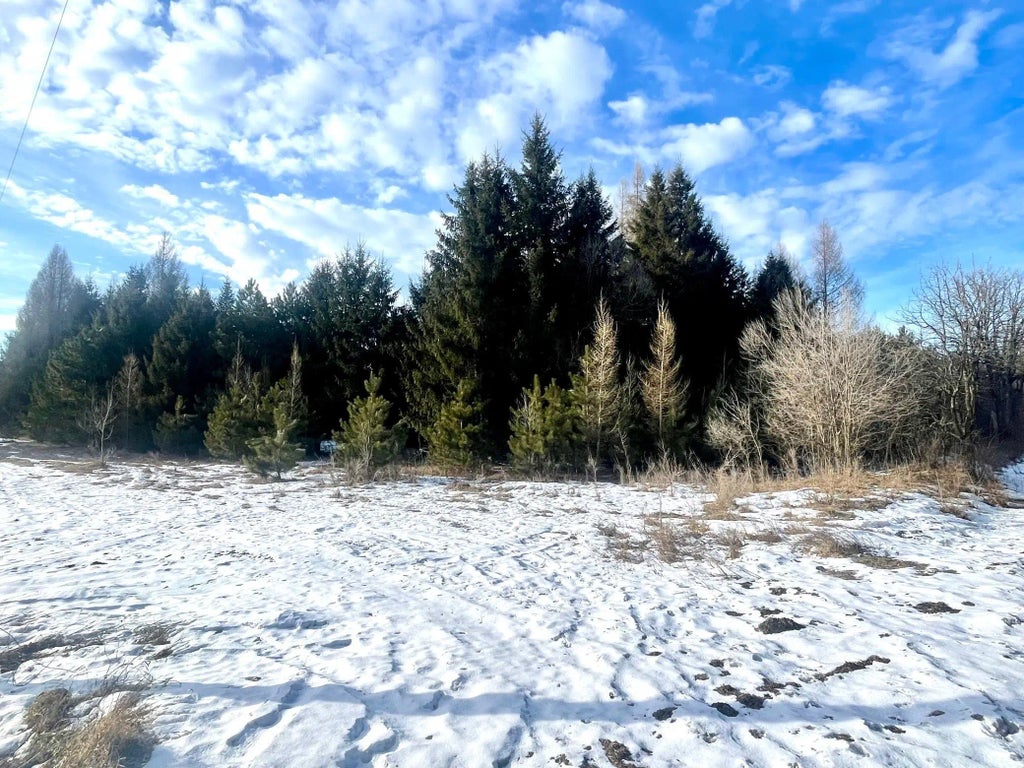 46.67 Acres 630th Street, Colfax