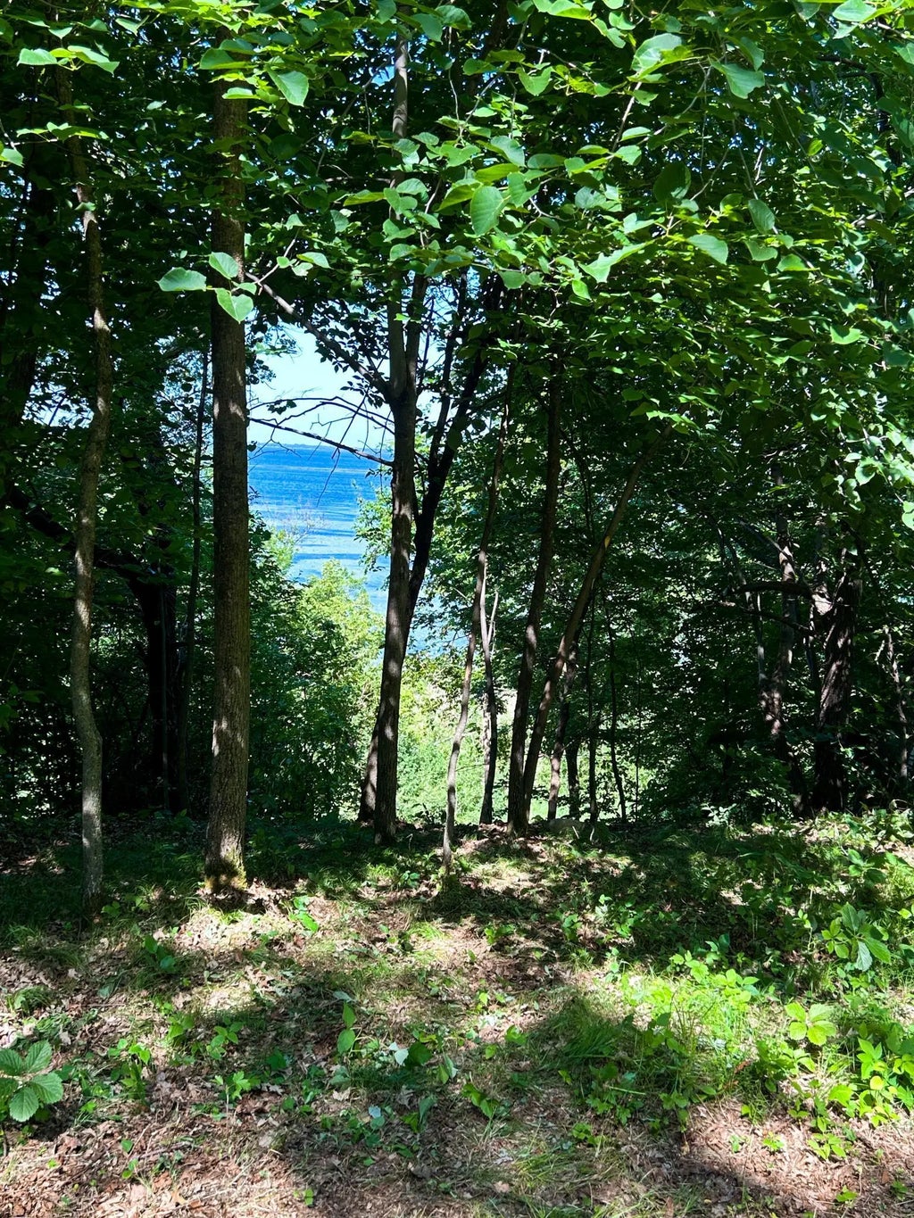 49137 360th Street, New York Mills