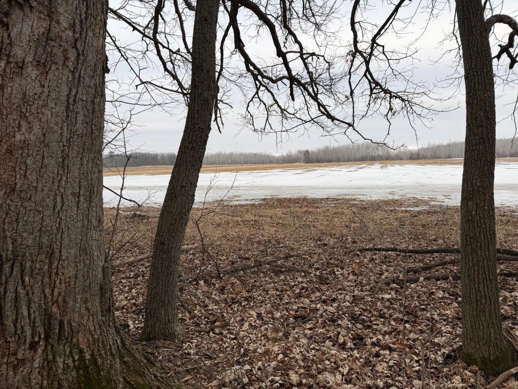 Tbd-b 180th Street, Milaca