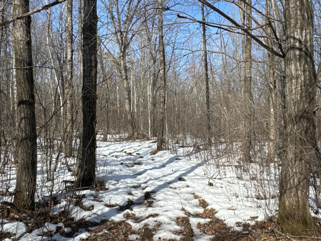 27xx 11th Avenue, Chetek