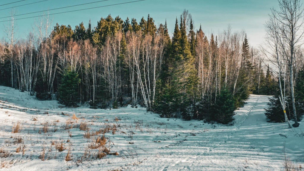 Tbd Parcel 17 Hwy 115, Tower