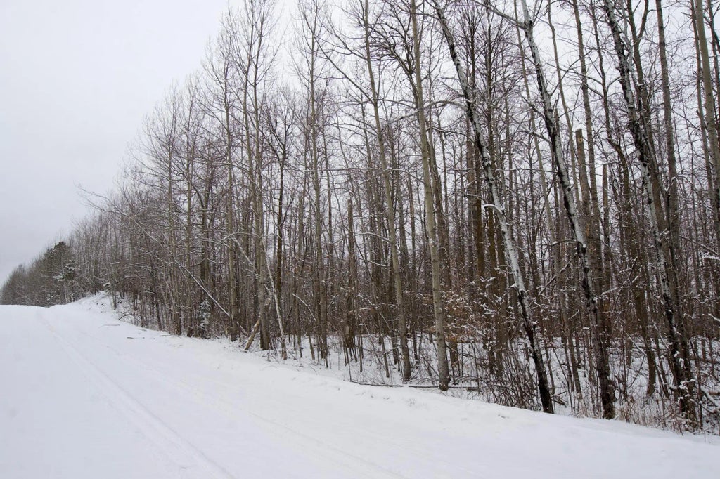 Xxxx Sheridan Woods Lane Ne, Outing