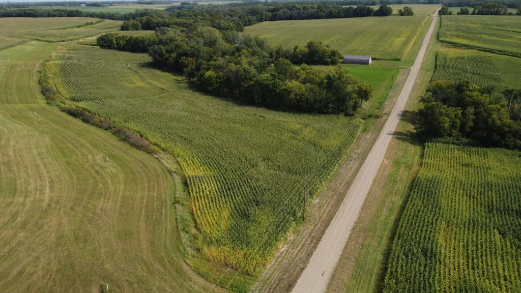 10 Ac Lot 216th Ln, Henderson