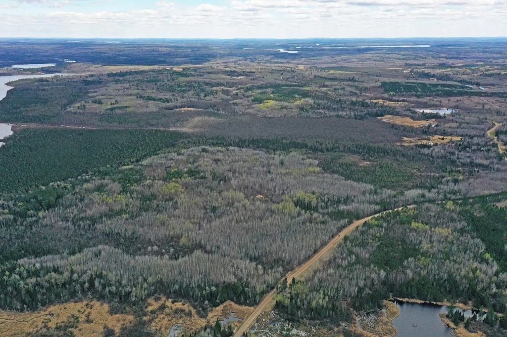 4268 Crane Lake Road, Orr, MN - MLS# 7051256 - LandBin.com