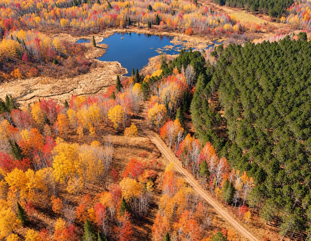 Tbd (280ac) Maple Grove Road, Cloquet