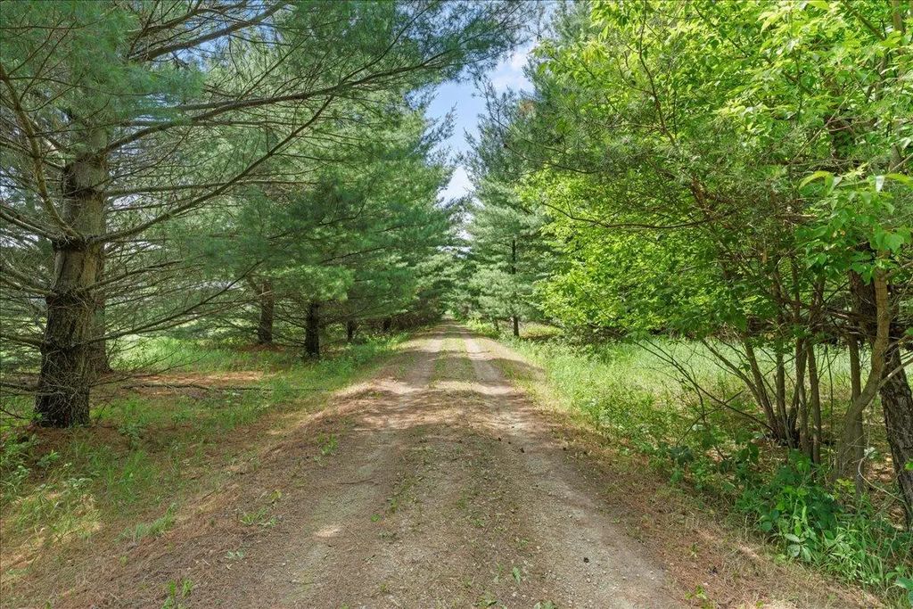 1041 River Drive, River Falls