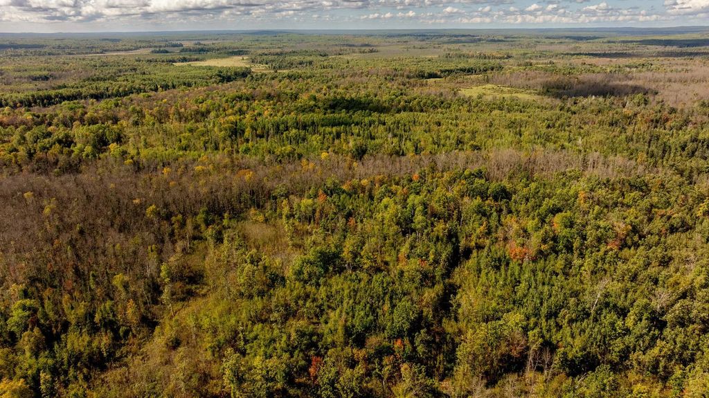 384 Acres Tbd Little Pine Road, Emily