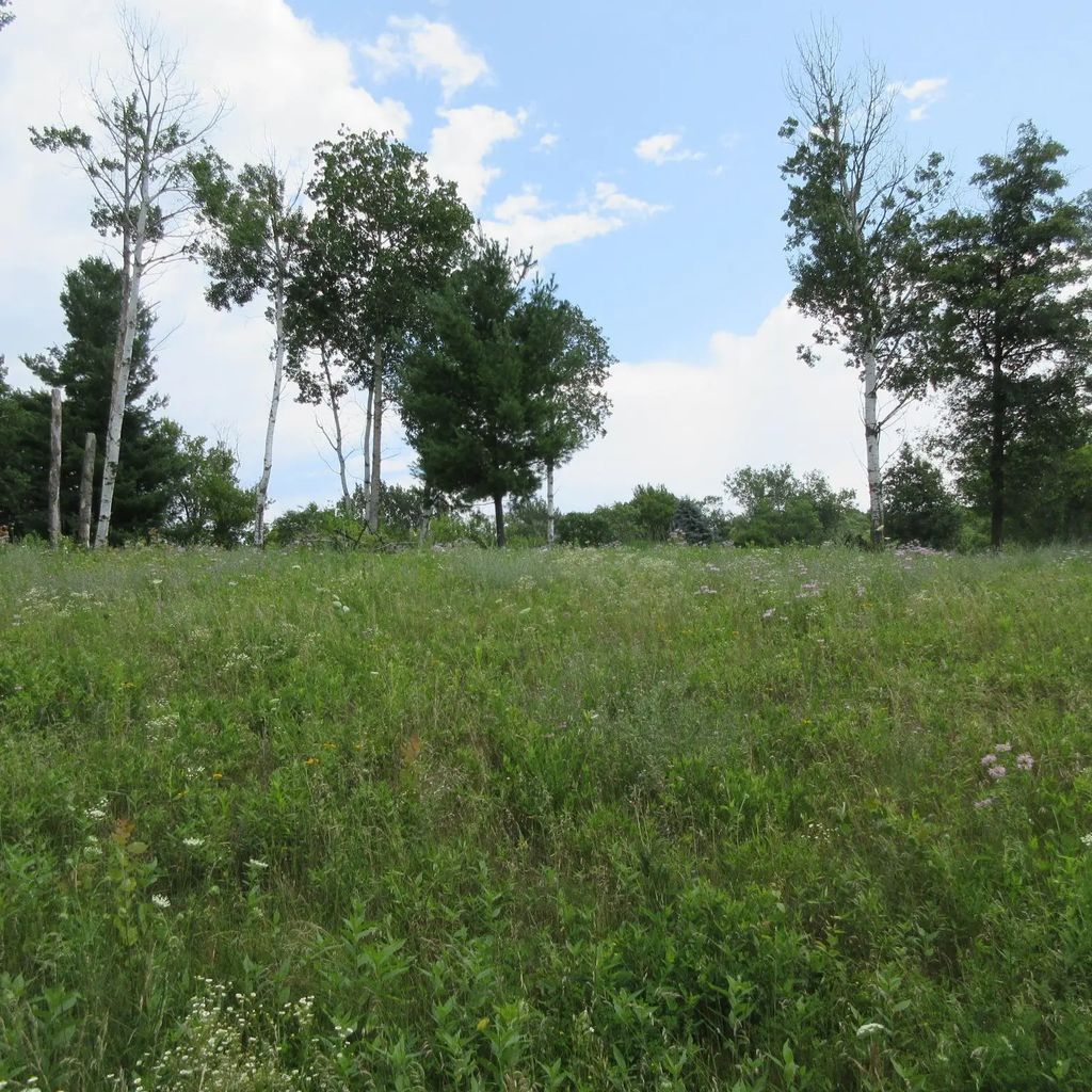 Lot 13 Street, Menomonie