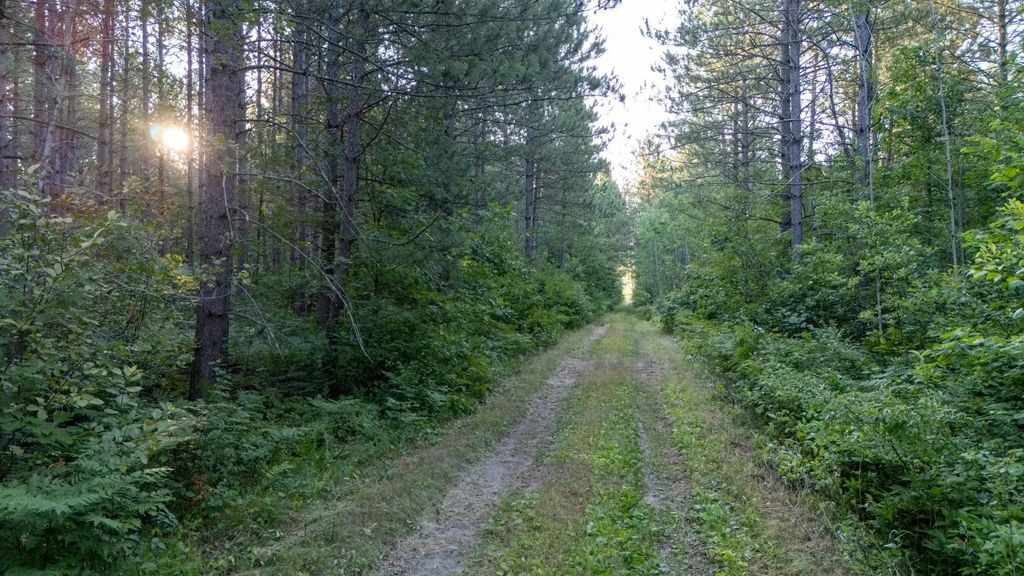 Nesw Forest Road 3845 Ne, Pennington