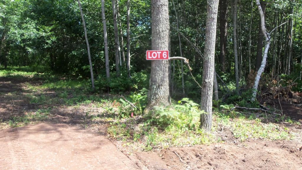 Lot 6 Birch Tree Trl, Spooner