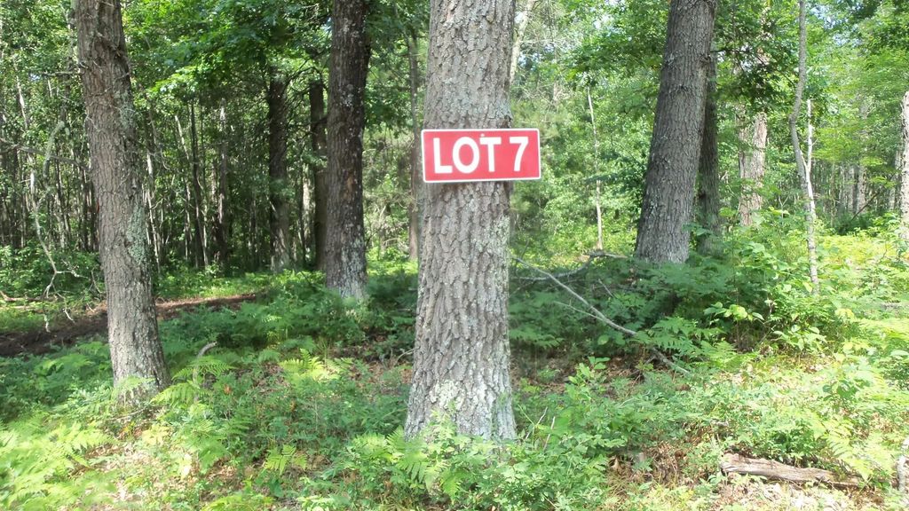 Lot 7 Birch Tree Trl, Spooner