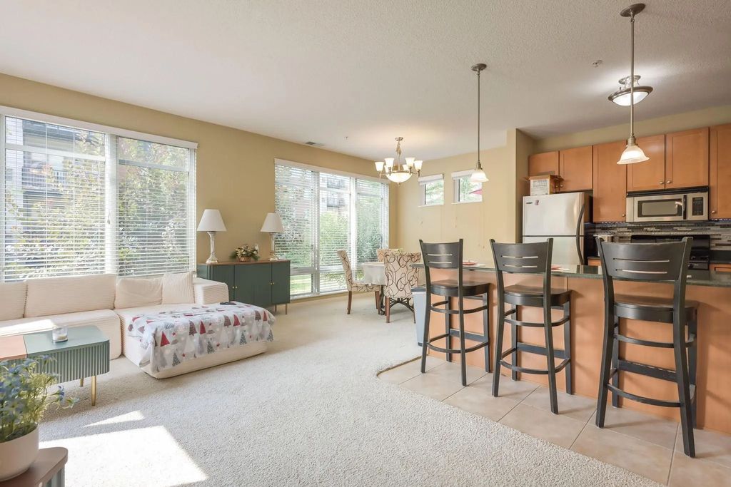 1070 Grandview Court Ne 119, Columbia Heights