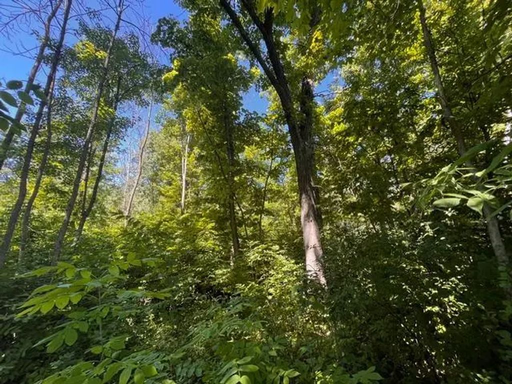 Lot 1 County Road Bb, Woodville