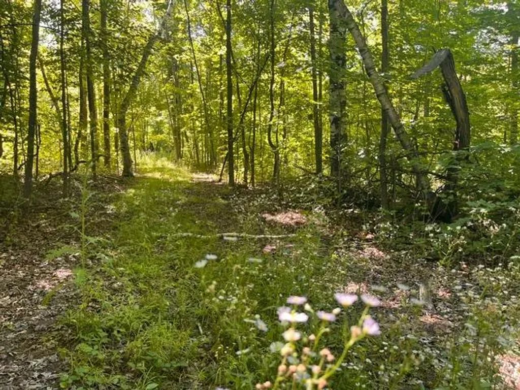 Lot 2 County Rd Bb, Woodville