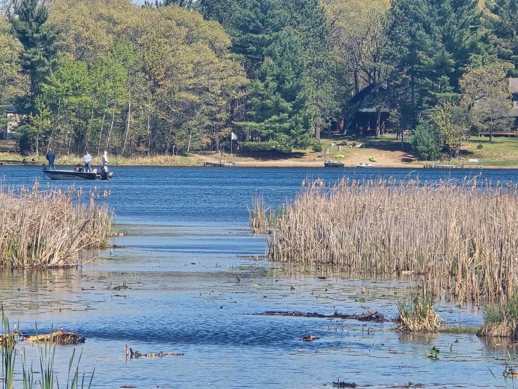 Tbd Ne West Fawn Lake Road, Stacy