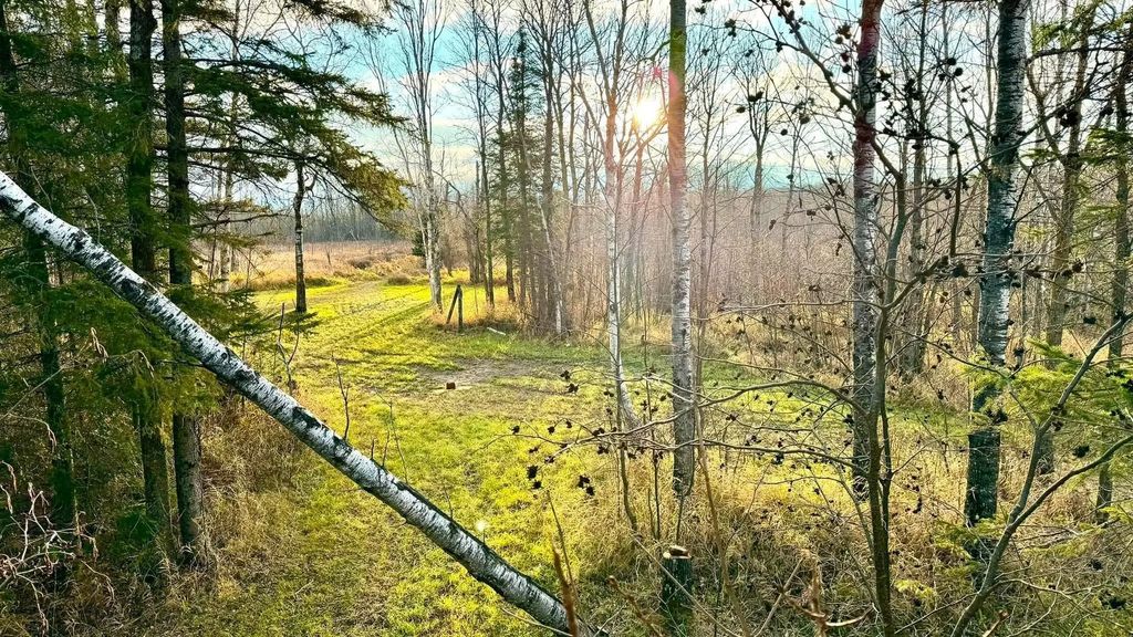16794 Driftwood Street, McGregor