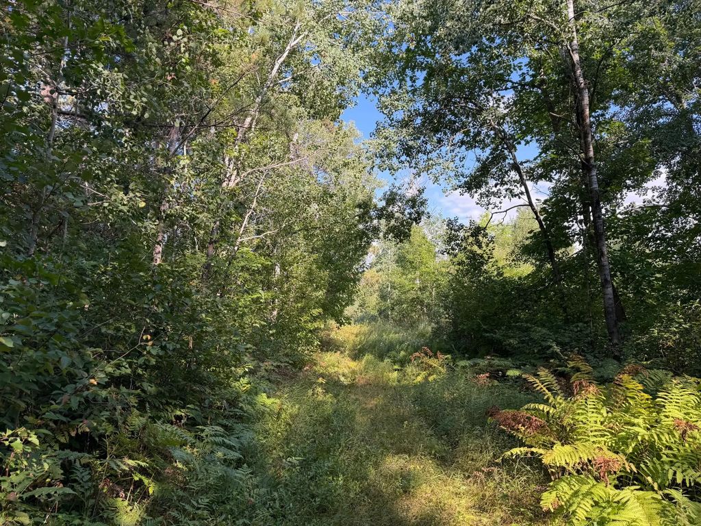 Tbd Klice Road, Willow River