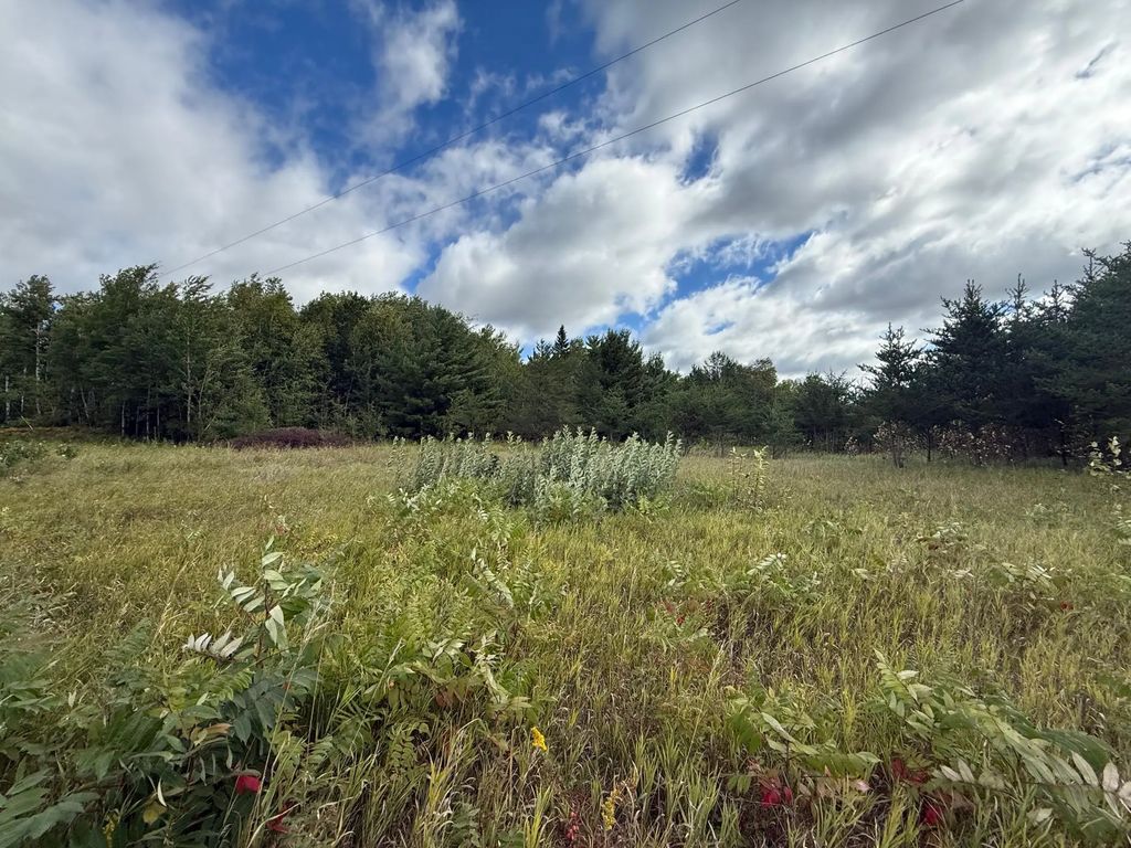 Tbd 159th Ave, Bagley