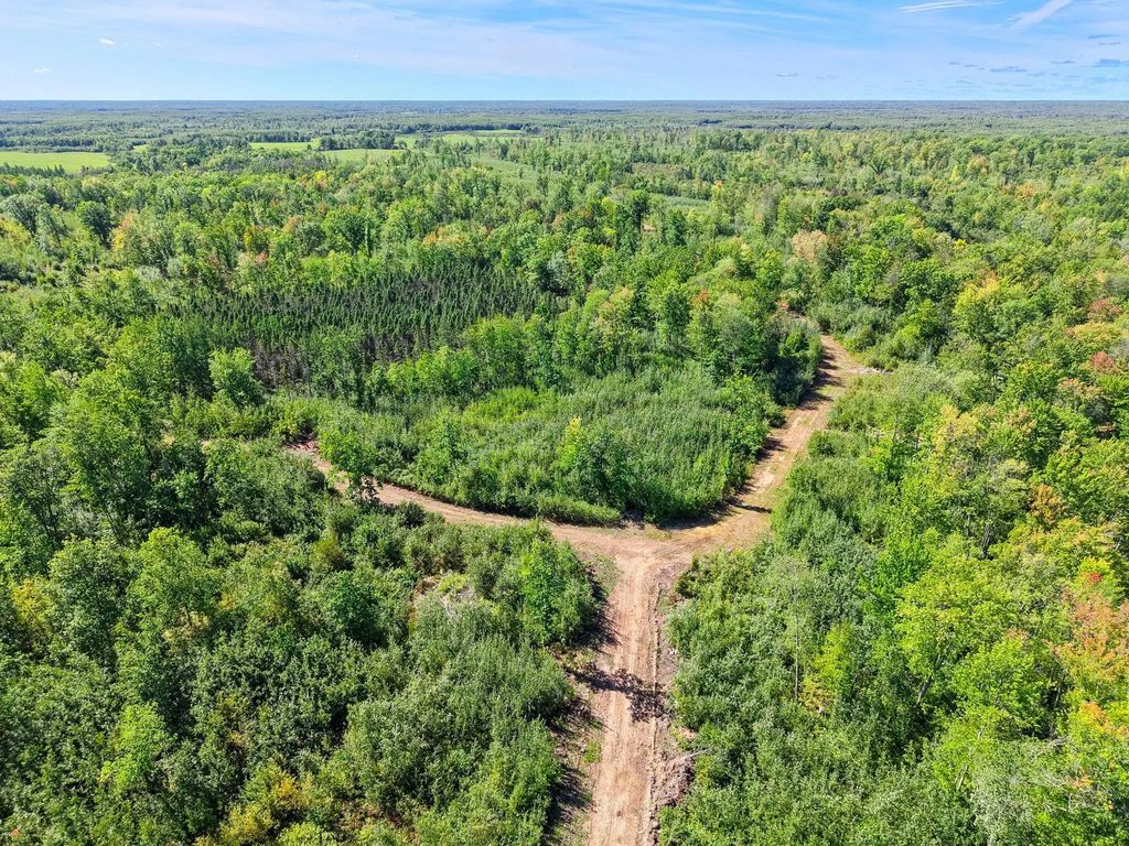 Xxx Fleming Logging Road, Hinckley
