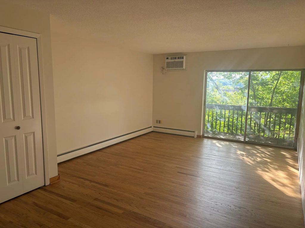 380 Ramsey Street 3a, Saint Paul