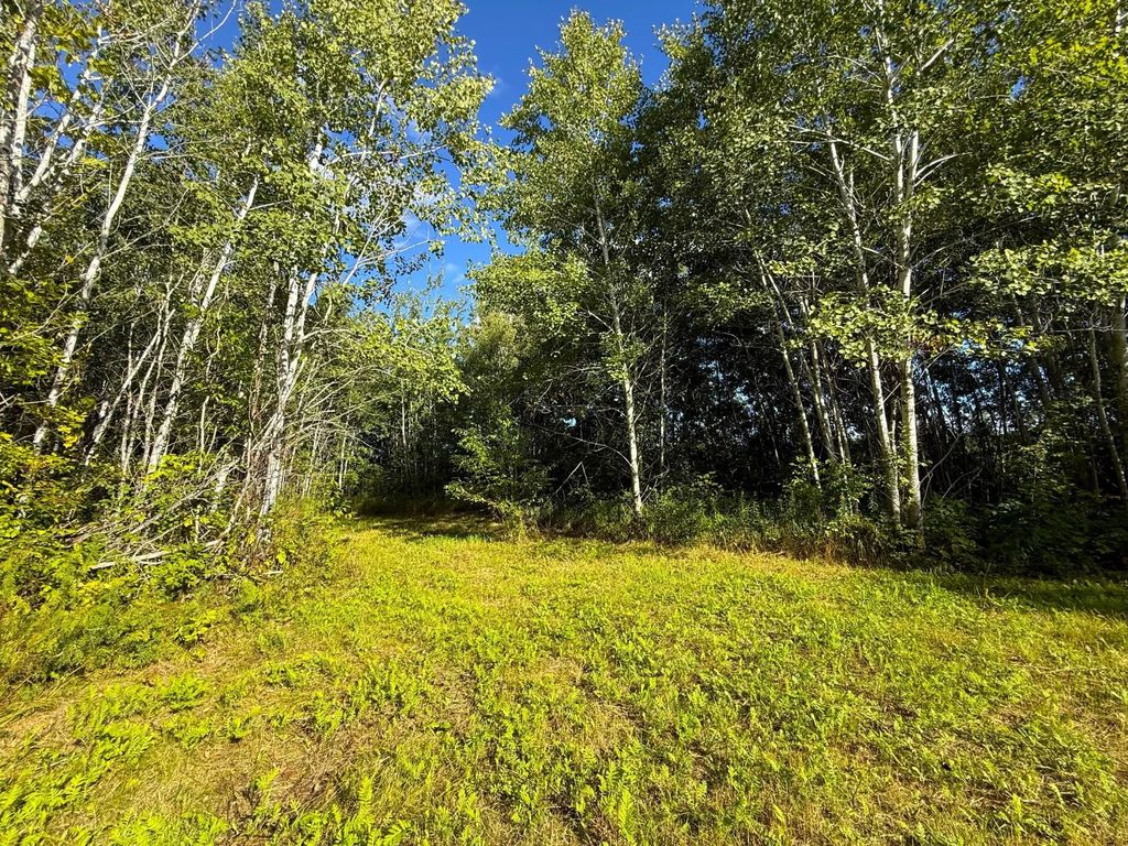 12084 County Road 144, Brainerd