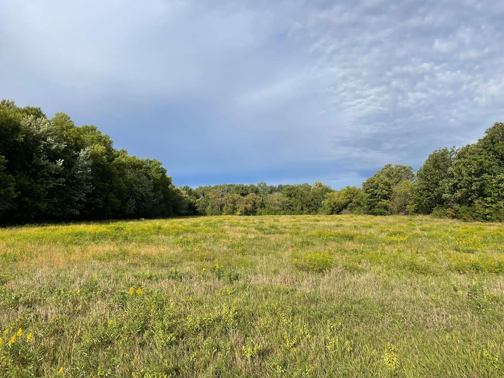 Tbd Xxx 140th Avenue, Foreston