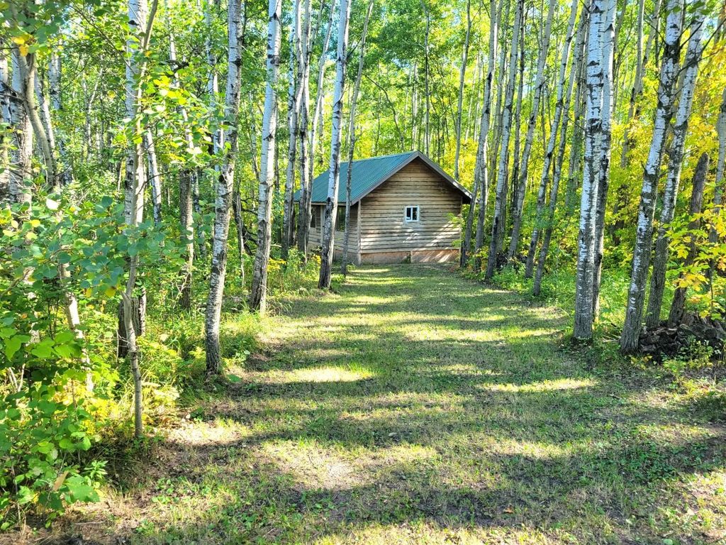 26317 370th Avenue, Roseau