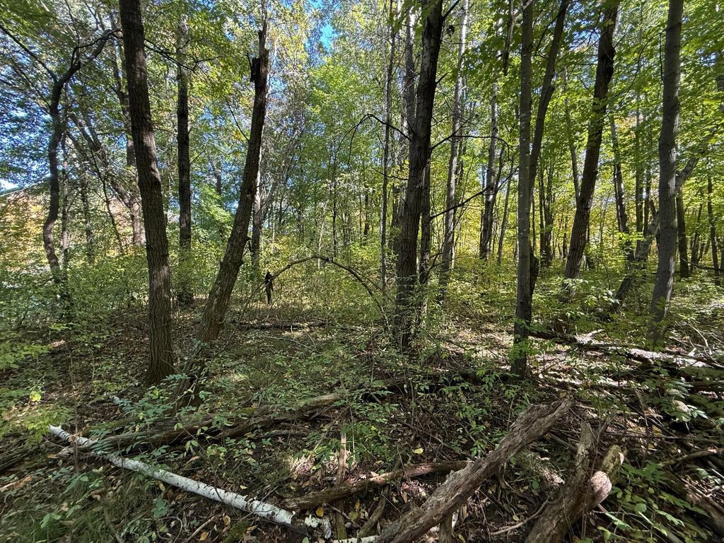 Tbd 90th Avenue, Amery