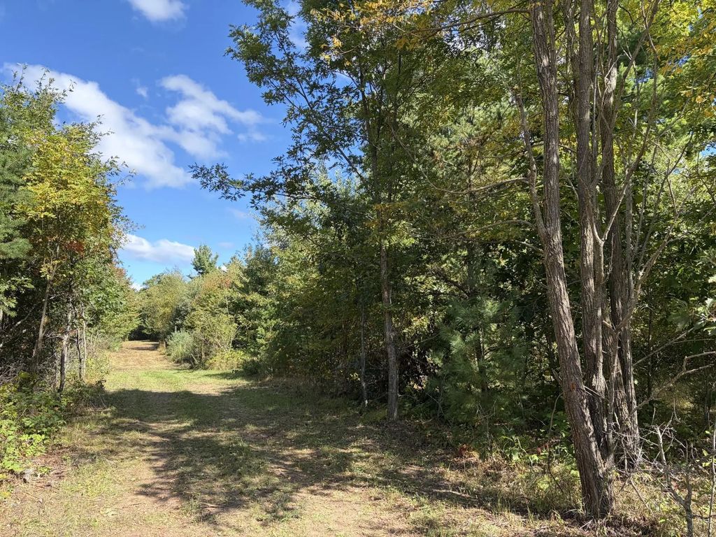 Xxx Bluebird Trail, Webster