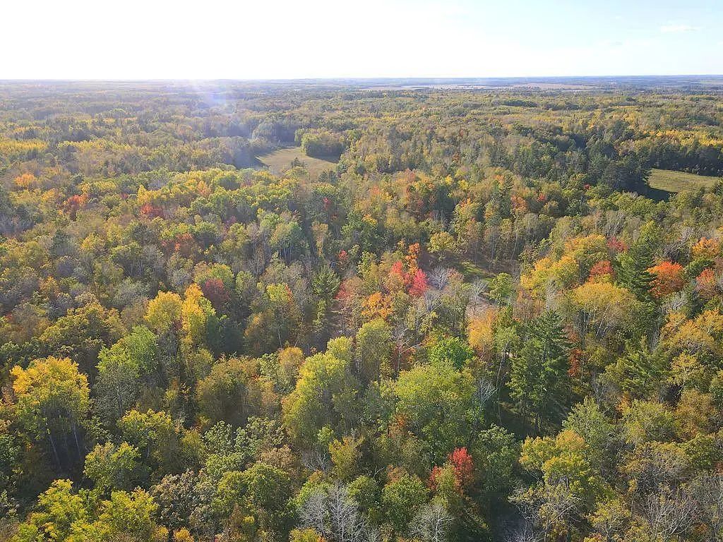 Xxx Us 71, Park Rapids